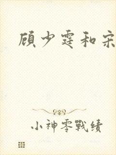 顾少霆和宋斯曼