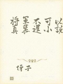 将军不可以魏云真慕迟小说笔趣阁