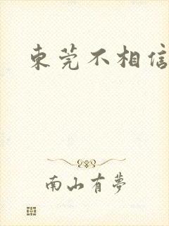 东莞不相信眼泪