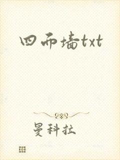 四面墙txt