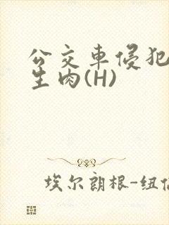 公交车侵犯小男生肉(H)