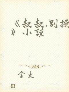 《叔叔,别撩我》小说