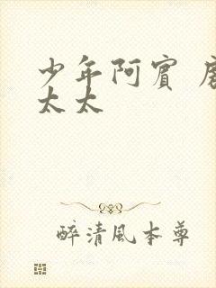 少年阿宾 房东太太