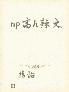 np高h辣文