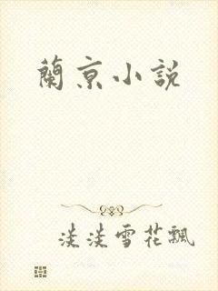 兰京小说