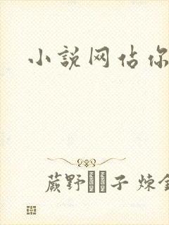 小说网站你懂的