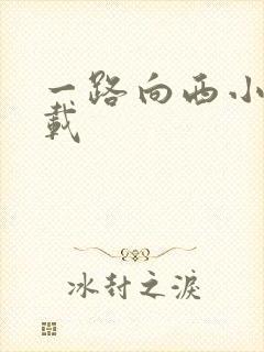 一路向西小说下载
