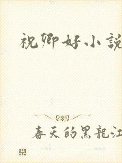 祝卿好小说封面