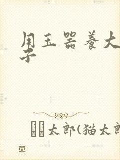 用玉器养大的皇子