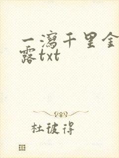 一泻千里金银花露txt