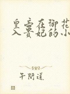 皇帝在御花园进入贵妃的小说