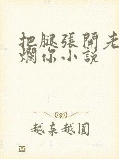 把腿张开老子臊烂你小说封面