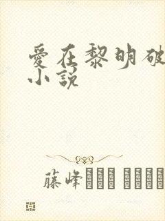 爱在黎明破晓前小说