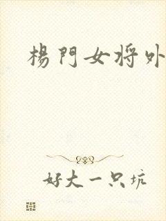 杨门女将外传