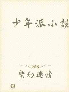 少年派小说封面