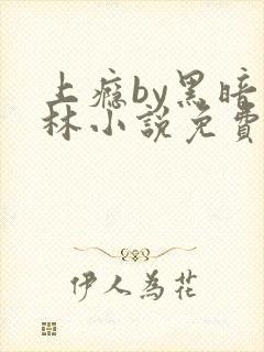 上瘾by黑暗森林小说免费