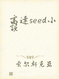高达seed小说