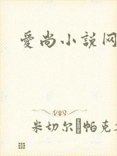 爱尚小说网