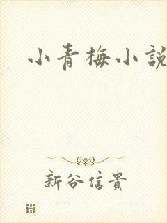 小青梅小说