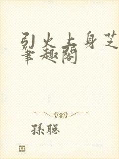 引火上身芝麻糖笔趣阁