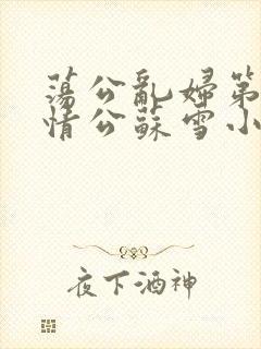 荡公乱妇第1章情公苏雪小说