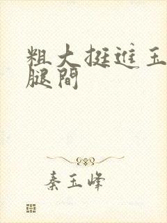 粗大挺进玉芬双腿间