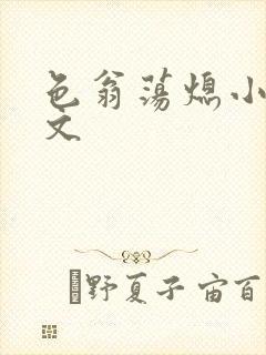 色翁荡熄小说全文