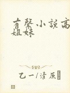 有声小说高树三姐妹封面