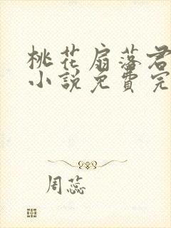 桃花扇落君不还小说免费完整版封面