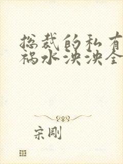 总裁的私有宝贝祸水泱泱全文阅读