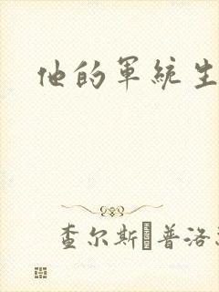 他的军统生涯封面