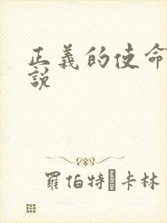 正义的使命 小说封面