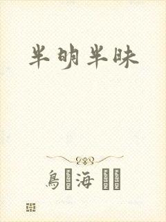 半明半昧