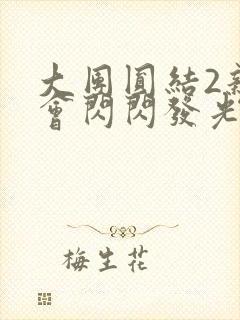 大团圆结2亲情会闪闪发光亲情会在线观看封面