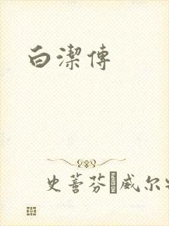 白洁传