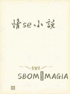 情se小说