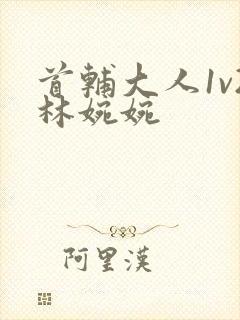 首辅大人1v2林婉婉封面