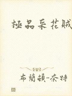 极品采花贼封面