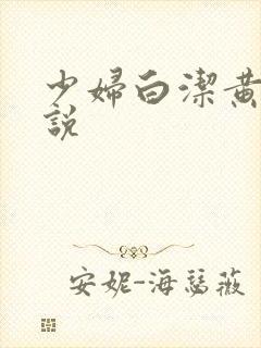 少妇白洁黄色小说