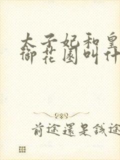 太子妃和皇帝在御花园叫什么小说