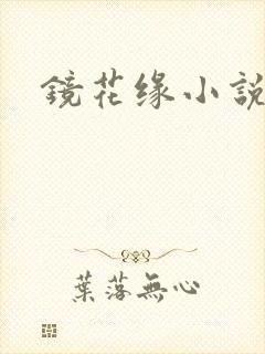 镜花缘小说