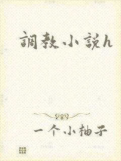 调教小说h