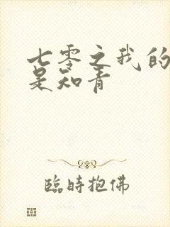 七零之我的老婆是知青封面