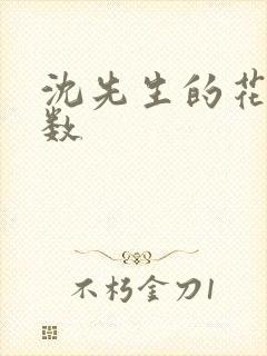 沈先生的花式调数