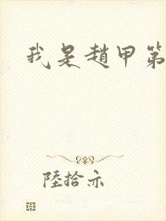 我是赵甲第小说封面