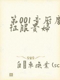 第001章厨房征服贵妇