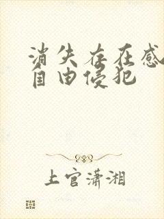 消失存在感消失自由侵犯