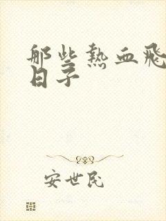 那些热血飞扬的日子封面