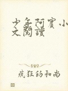 少年阿宾小说全文阅读