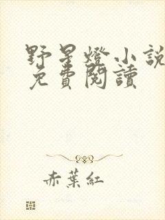 野星灯小说全文免费阅读